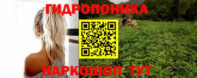 PSILOCYBIN Новодвинск