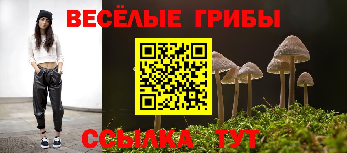 купить закладку  Вход с VPN  Галлюциногенные грибы ЛСД  Артёмовский  Псилоцибиновые грибы мухоморы 